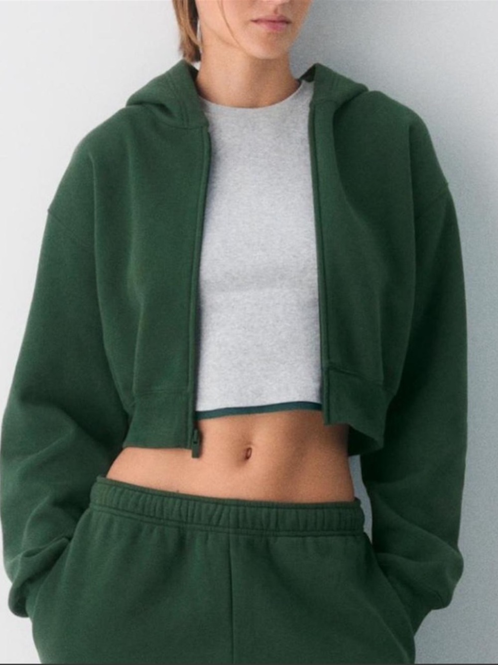 Aritzia Sweatfleece Boyfriend Zip Sweatshirt